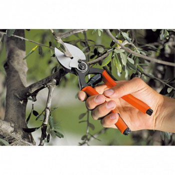 Stocker 380 - Forbice... 2