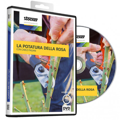 Stocker 1323 - Kit DVD e forbice per la...
