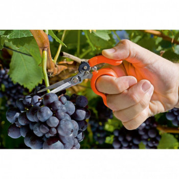 Stocker 34620 - Forbice ad... 2