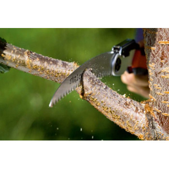 Stocker 12521 - Seghetto... 2