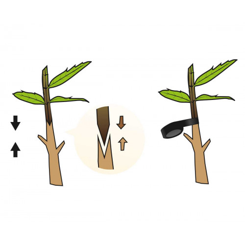 Stocker 2170 Innestatrice Top