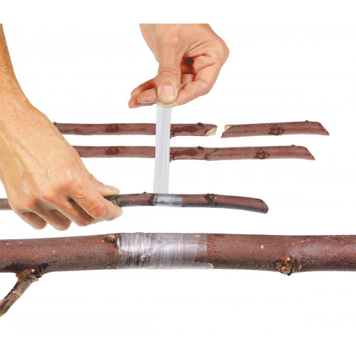 Stocker 2075 Nastro per Germogliamento Buddy...