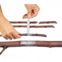 Stocker 2075 Nastro per Germogliamento Buddy Tape Non Perforato 40 m