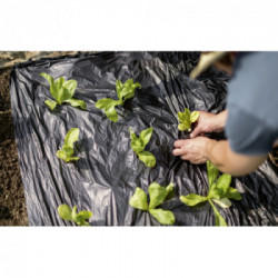 Stocker 4861 Telo per pacciamatura biodegradabile 0,80 x 10 m