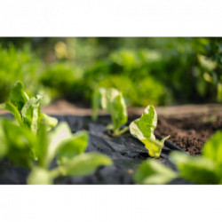 Stocker 4861 Telo per pacciamatura biodegradabile 0,80 x 10 m