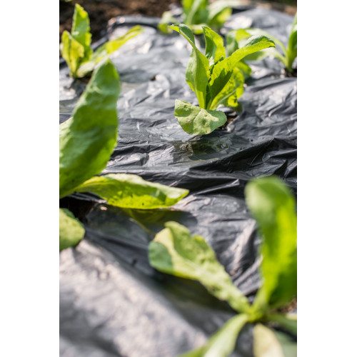 Stocker 4861 Telo per pacciamatura...