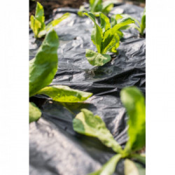 Stocker 4861 Telo per pacciamatura biodegradabile 0,80 x 10 m