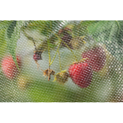 Stocker 4597 Rete Anti Moscerino dei Piccoli...