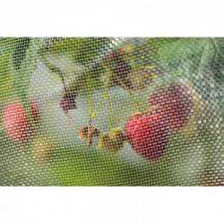 Stocker 4597 Rete Anti Moscerino dei Piccoli Frutti 4 x 5 m