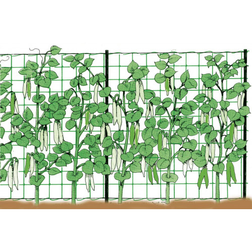 Stocker 4581 Rete rampicante 1,2 x 25 m