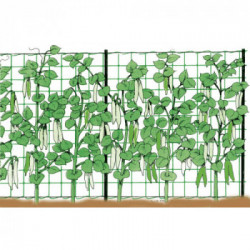 Stocker 4581 Rete rampicante 1,2 x 25 m