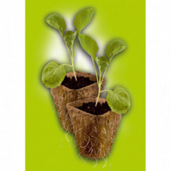 Stocker 9635 - Set vasetto in fibra di torba 12 x 16 x h 6 cm