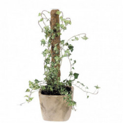 Stocker 45500 - Tutore in fibra di cocco 60 cm