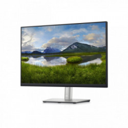 DELL P Series P2423 61 cm (24") 1920 x 1200 Pixel WUXGA LCD Nero, Argento