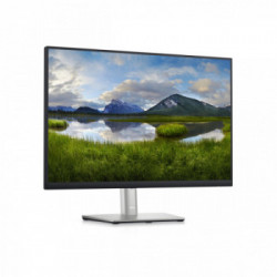 DELL P Series P2423 61 cm (24") 1920 x 1200 Pixel WUXGA LCD Nero, Argento