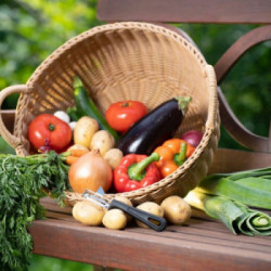 Westmark 045373 - Pelapatate Gentle