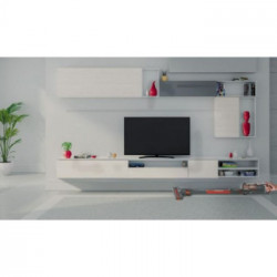 Hoover HF522SFP 011 Senza sacchetto 0,45 L Grigio, Titanio