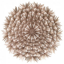 Villa D'este Home Tivoli 'Gold', Set 6 Tovagliette soffione oro antimacchia