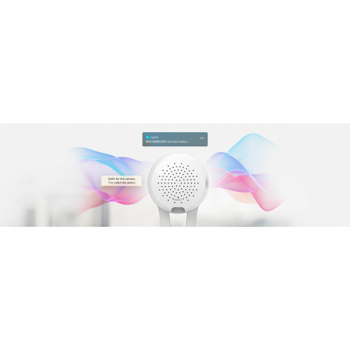 D-Link DCS-8300LHV2 telecamera di sorveglianza...