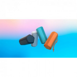 Sony SRS-XE200 - Speaker portatile Bluetooth wireless con campo sonoro ampio e cinturino da polso - impermeabile, antiurto,