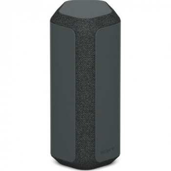 Sony SRS-XE300 - Speaker...