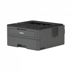 Brother HL-L2370DN stampante laser 2400 x 600 DPI A4