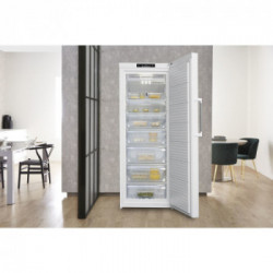 Whirlpool WVA31612 NFW 2 - Congelatore Verticale, NoFrost, 309 Litri, Classe E