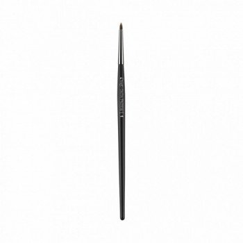 Diego dalla Palma Pennello...