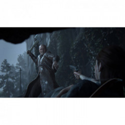Sony The Last of Us Parte II, PS4