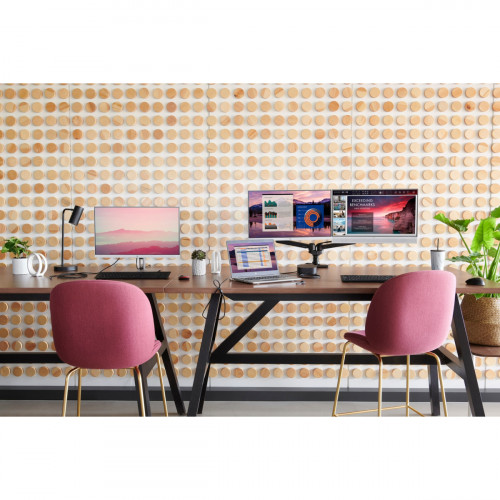 HP EliteDisplay E243m 60,5 cm (23.8") 1920 x...