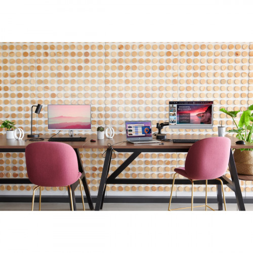 HP EliteDisplay E243m 60,5 cm (23.8") 1920 x...