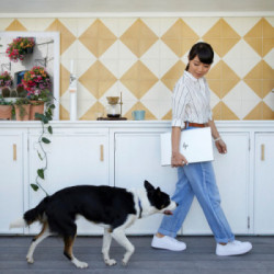 HP EliteBook 650 G9 i5-1235U Computer portatile 39,6 cm (15.6") Full HD Intel® Core™ i5 16 GB DDR4-SDRAM 512 GB SSD Wi-Fi 6E