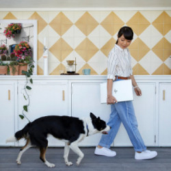 HP EliteBook 650 G9 i7-1255U Computer portatile 39,6 cm (15.6") Full HD Intel® Core™ i7 16 GB DDR4-SDRAM 512 GB SSD NVIDIA