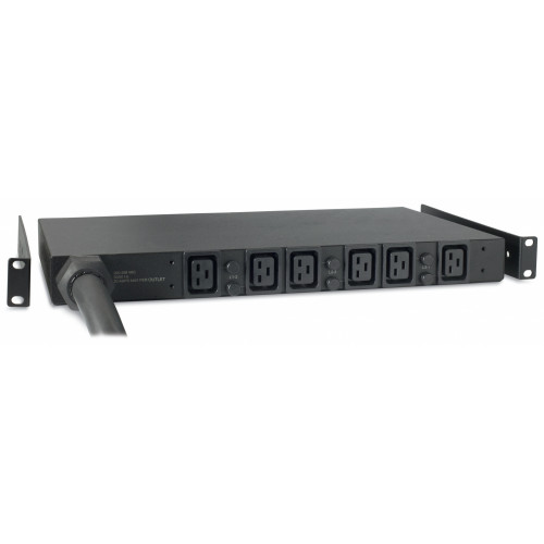 APC Basic Rack PDU AP7526 unità di...
