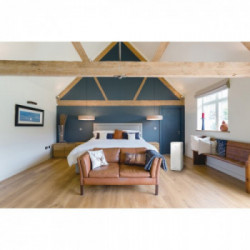 Daikin MC55W - Purificatore D'Aria, Filtro Hepa, Telecomando, Bianco, Flash Streamer