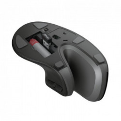 Trust Verro mouse RF Wireless Ottico 1600 DPI Mano destra