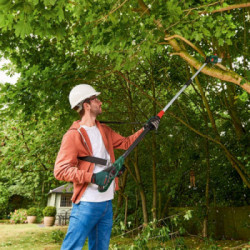 Bosch UniversalChainPole 18 - Sega con Manico Telescopico 18V, 2,5Ah, Barra 20cm, Asta 2-2,6 mt., Batt. e Caricabatt. Incl.