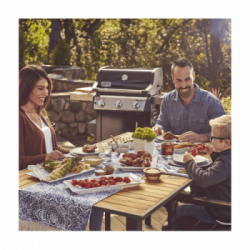 Weber Spirit E-315 GBS - Barbecue a Gas, 3 Bruciatori, Modello 46512229, Nero