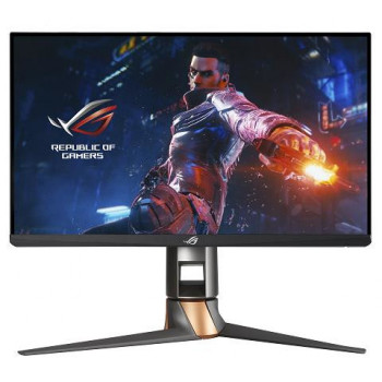 ASUS ROG Swift PG259QN 62,2...