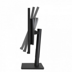 ASUS ProArt PA328CGV 81,3 cm (32") 2560 x 1440 Pixel Quad HD Nero