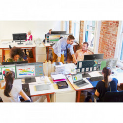 HP EliteDisplay E243m