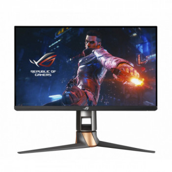 ASUS PG259QNR 62,2 cm...