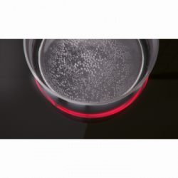 Electrolux LHR3233CK - Piano Cottura Elettrico, Domino, 2 Zone (1 doppio circuito), 30 Cm