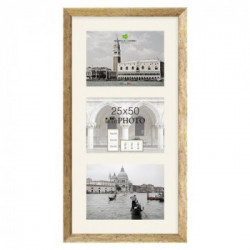 Bubola & Naibo Cornice Multif.Oro 25x50 6570C-01022550