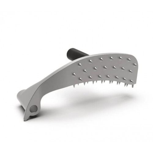 RGV Desy AF 220 AM Affettatrice Professionale...