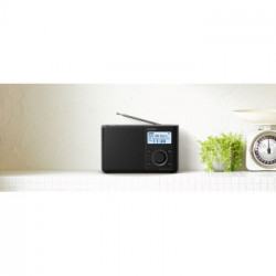 Sony XDR-S61D radio Personale Nero