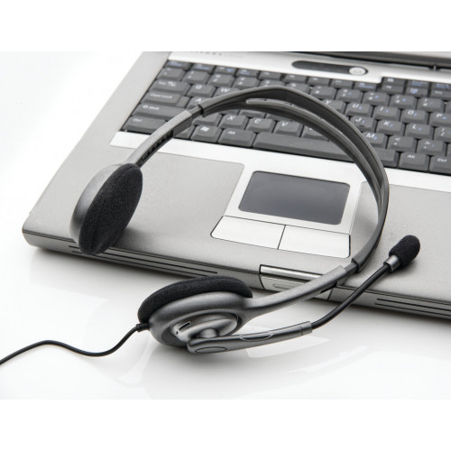 Logitech H111 Cuffia Padiglione auricolare Grigio