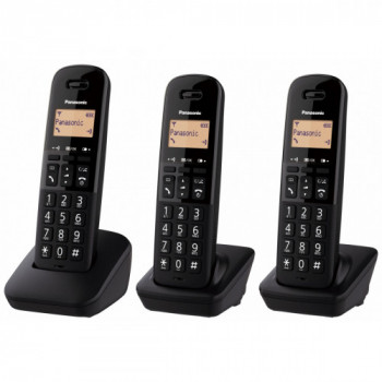 Panasonic KX-TGB613...