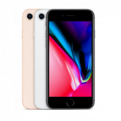 Apple iPhone 8 64GB Argento *ESTENSIONE GARANZIA3 3 ANNI IN PIU' in omaggio*