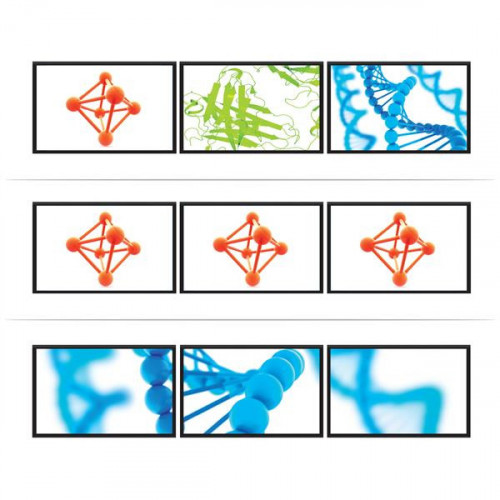 StarTech.com Hub MST - DisplayPort a 3 DisplayPort
